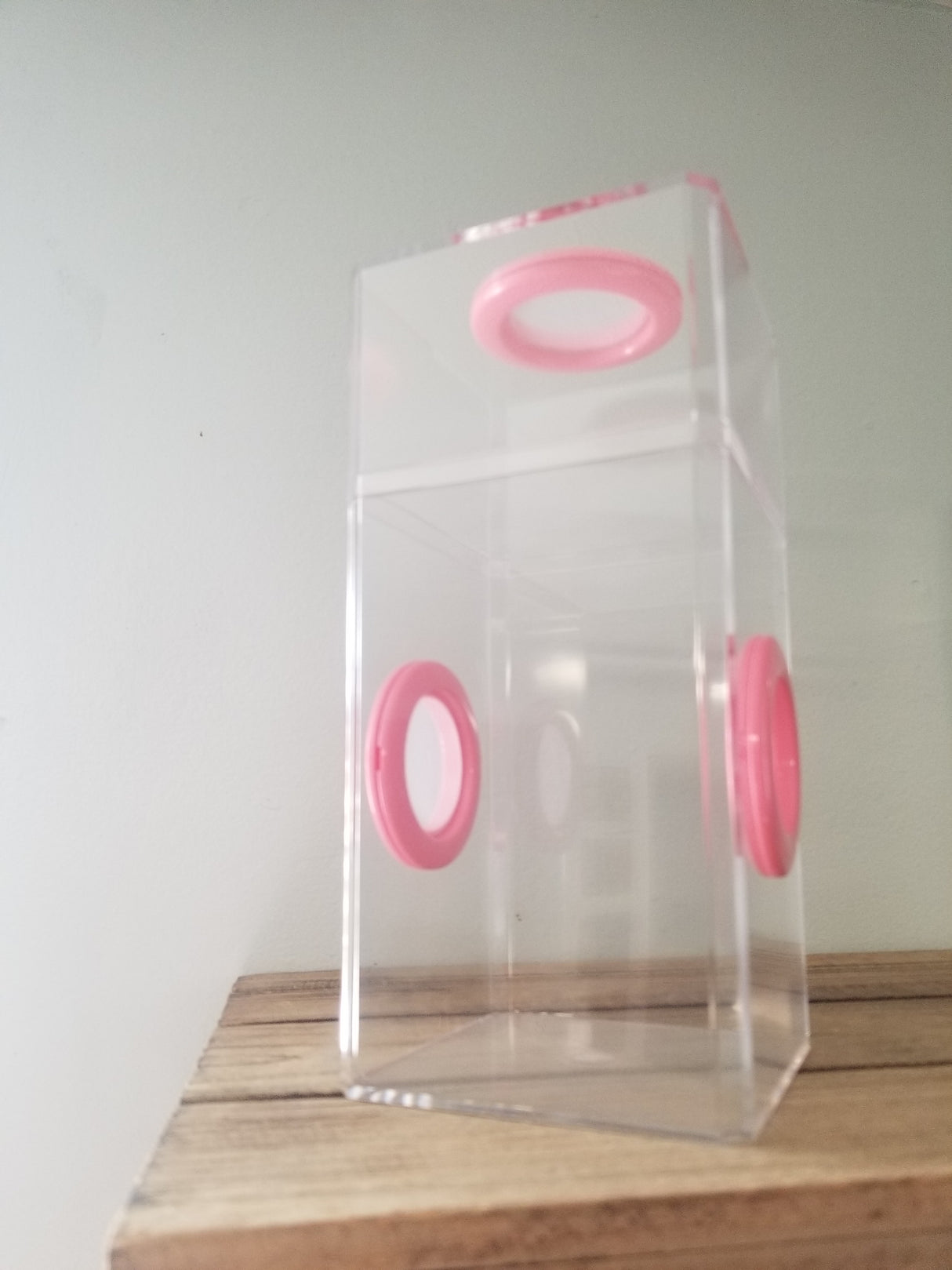 B-STOCK Classic Tri-Vent Spider Condo Jumping Spider Enclosure (holds fruit flies)