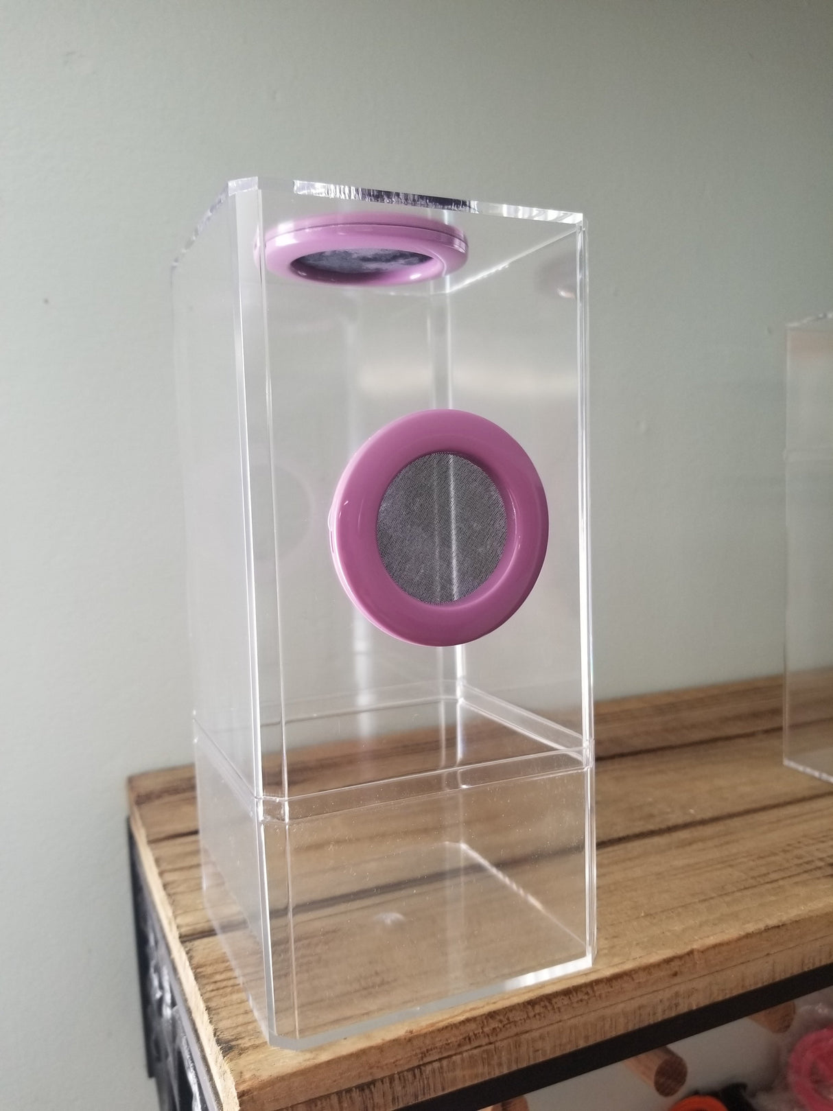 B-STOCK Flip Top Dual Vent Spider Condo Jumping Spider Enclosure (holds Fruitflies)