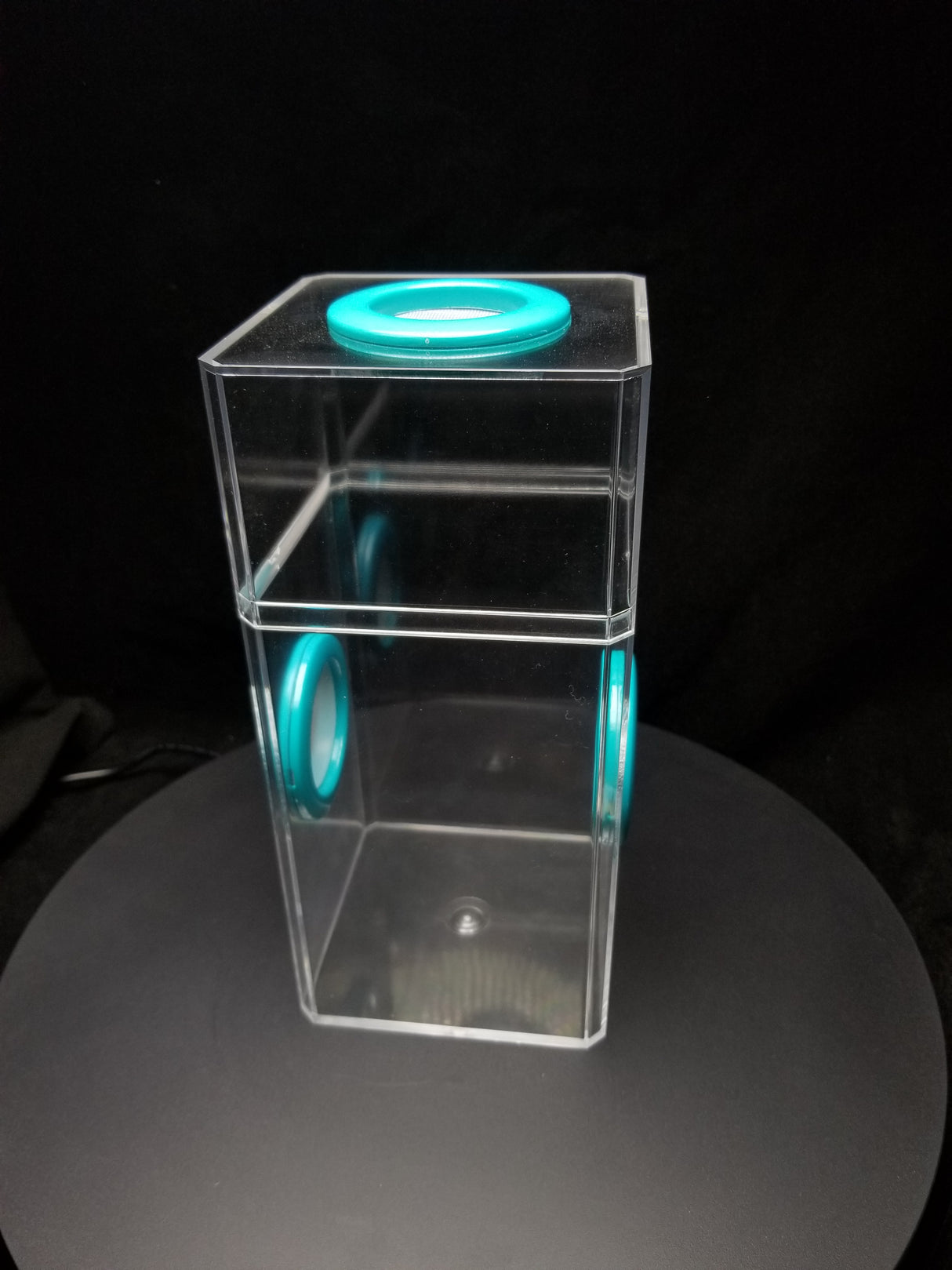 B-STOCK Classic Tri-Vent Spider Condo Jumping Spider Enclosure (holds fruit flies)