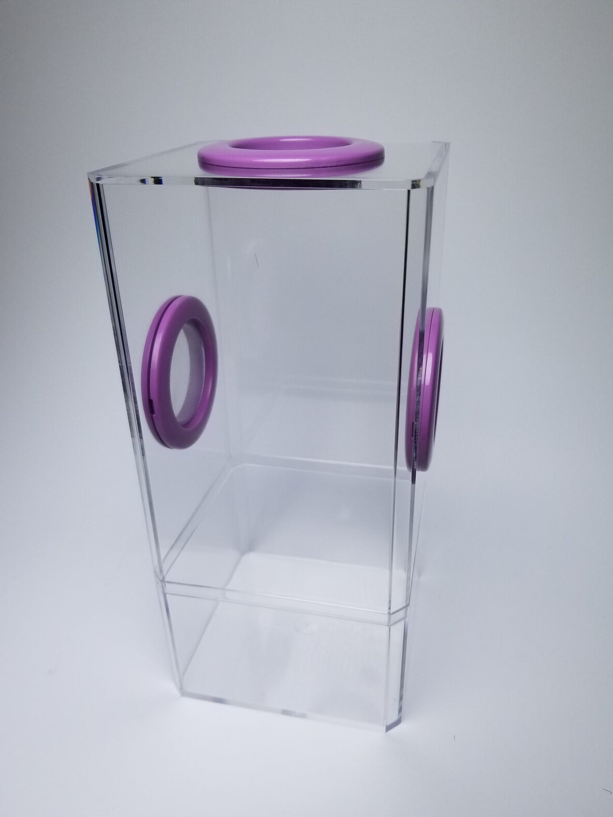 B-STOCK Flip Top Tri-Vent Spider Condo Jumping Spider Enclosure (holds Fruitflies)