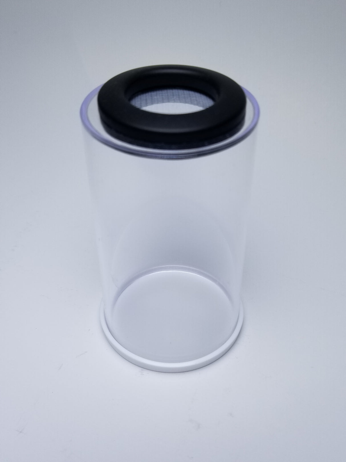 BFP Grow Cup 2x3.5" for small Jumping Spider slings (holds fruit flies)