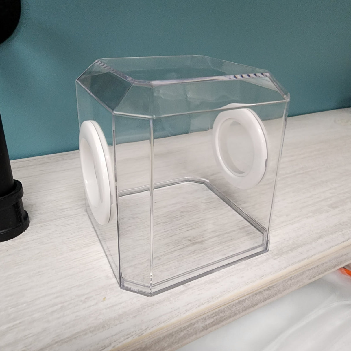 Den Flat Top 4x4x4 Jumping Spider Enclosure (holds fruit flies)