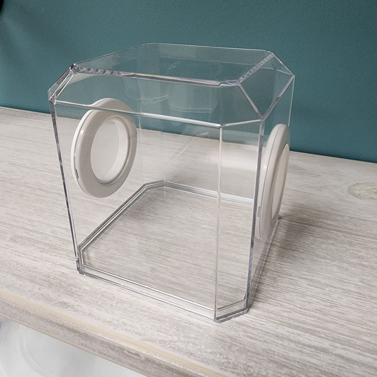 Den Flat Top 4x4x4 Jumping Spider Enclosure (holds fruit flies)