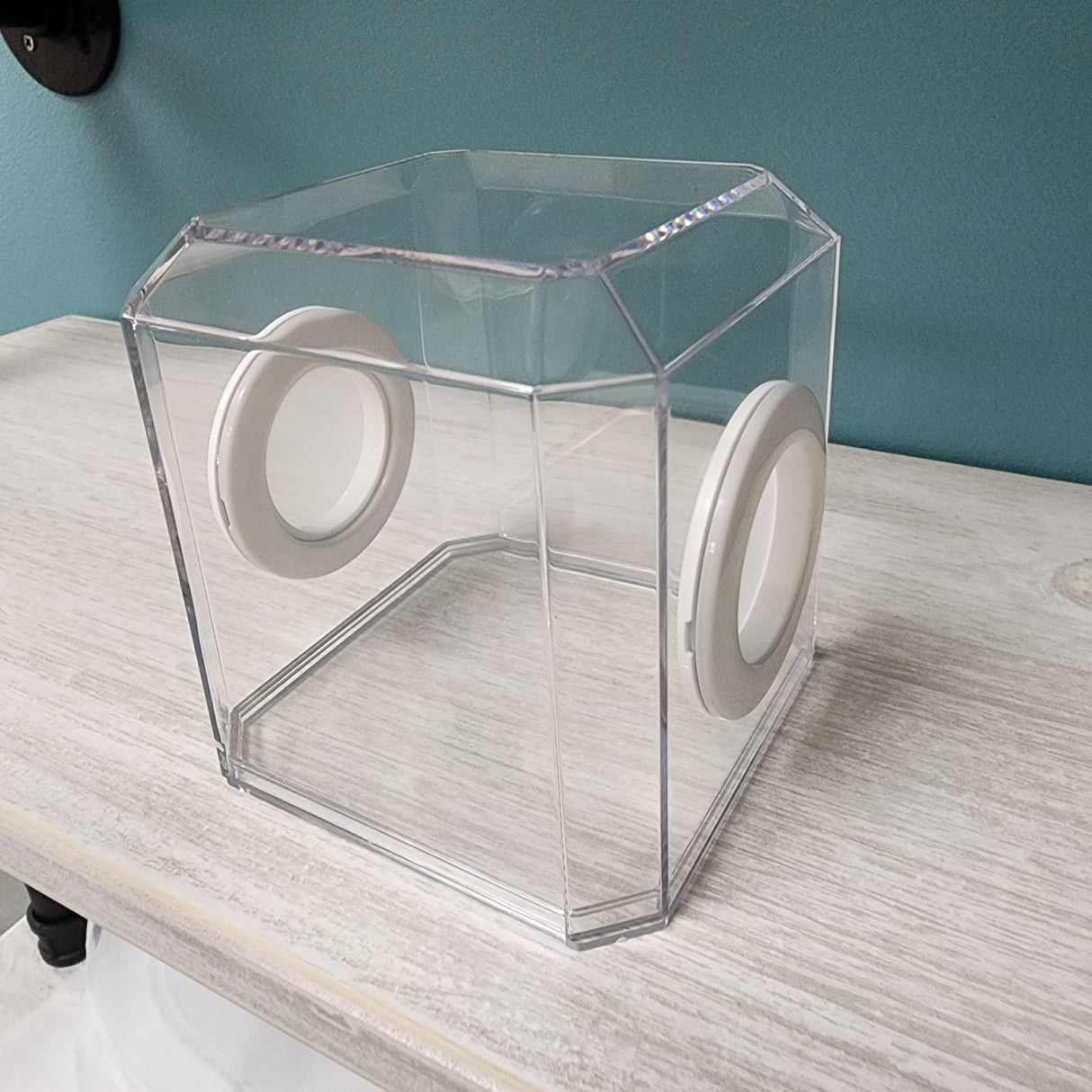 Den Flat Top 4x4x4 Jumping Spider Enclosure (holds fruit flies)