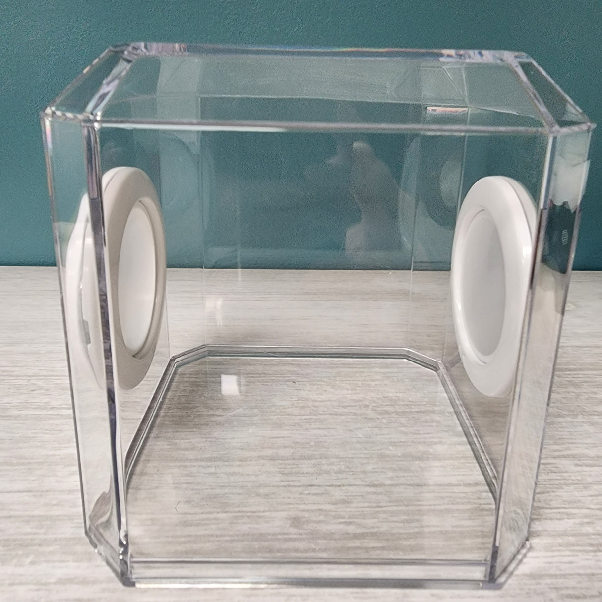 Den Flat Top 4x4x4 Jumping Spider Enclosure (holds fruit flies)