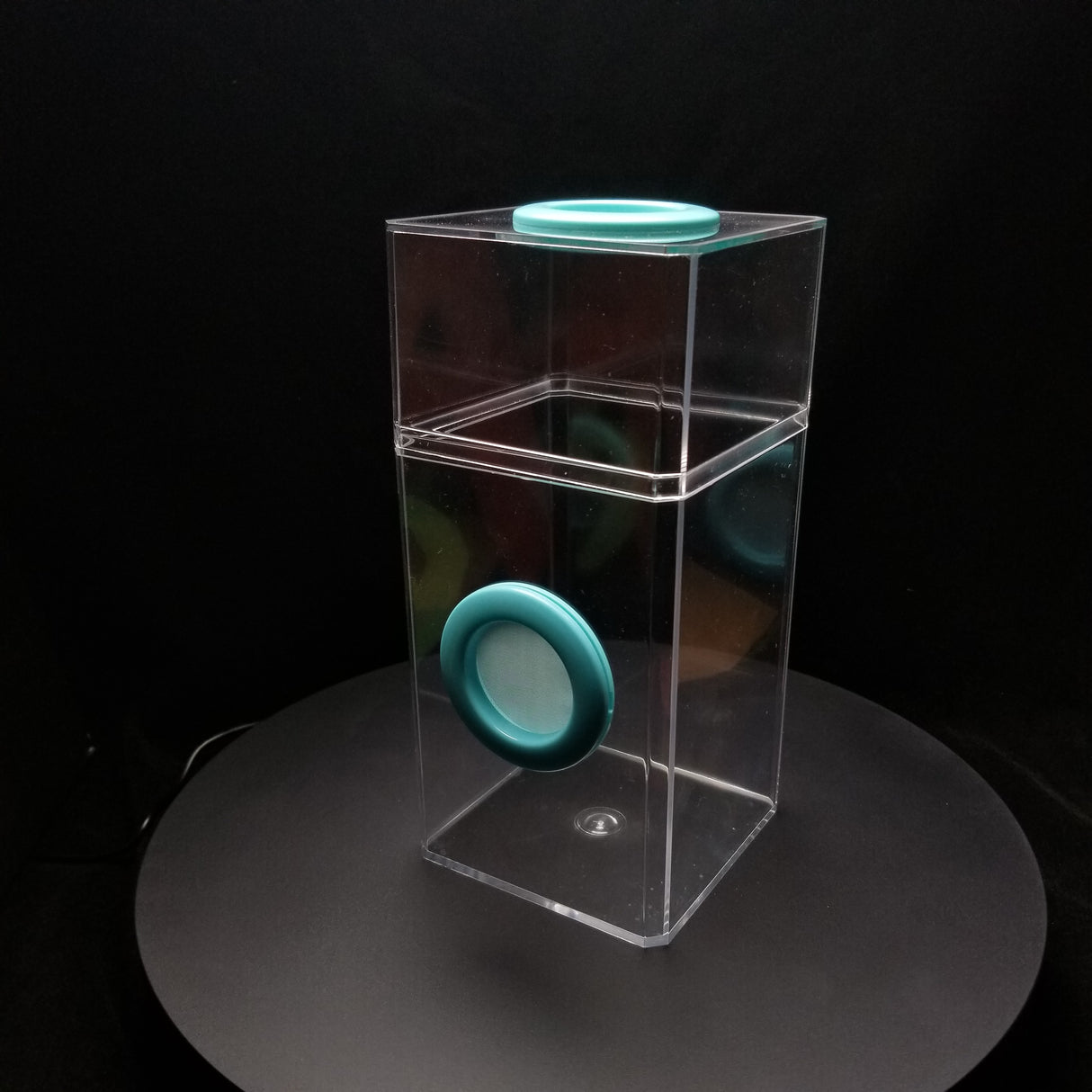 Jumping Spider Enclosure