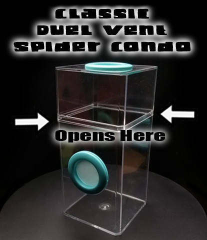 This is a Classic Dual Vent Jumpinf Spider Enclosure