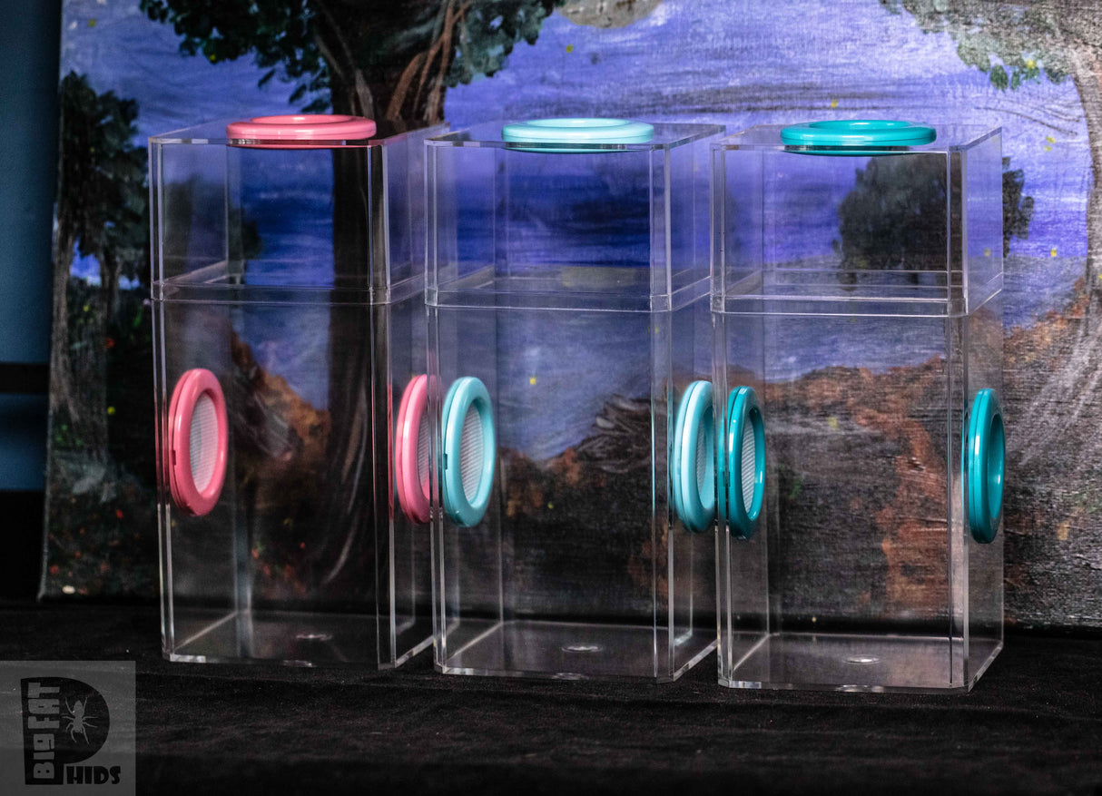 3 featured Classic Spider Condo Jumping SPider Enclosures. These are leakproof so even melanogaster fruit flies don't leak out.