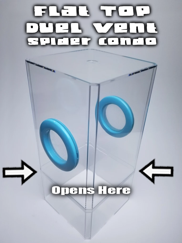 B-STOCK Flat-Top Dual Vent Spider Condo Jumping Spider Enclosure (holds fruit flies)