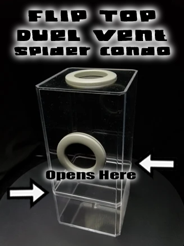 B-STOCK Flip Top Dual Vent Spider Condo Jumping Spider Enclosure (holds Fruitflies)