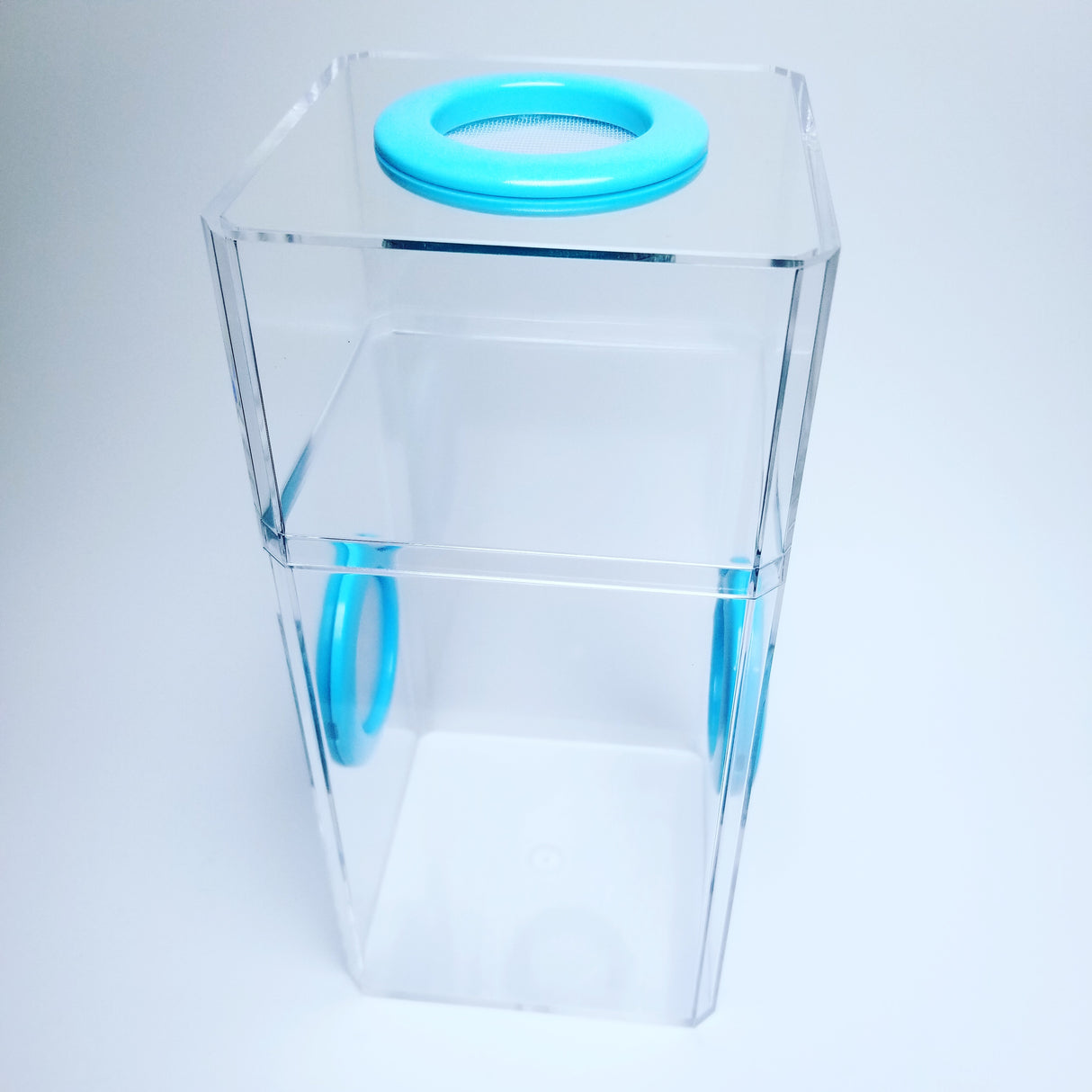 B-STOCK Classic Tri-Vent Spider Condo Jumping Spider Enclosure (holds fruit flies)