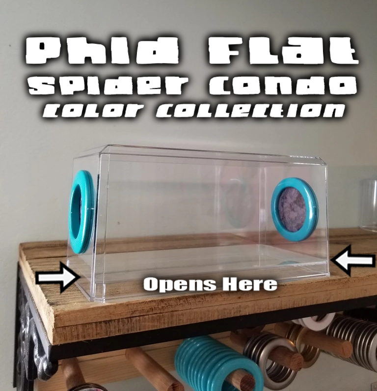 Phid Flat Sling Nursery Jumping Spider Enclosure 8.5x4x4(holds fruit flies)