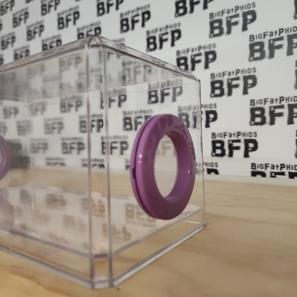 BFP Stinger Stackable Jumping Spider Sling Nursery(holds fruit flies.