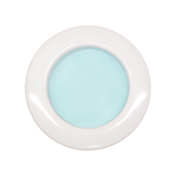 BFP Stinger Stackable Jumping Spider Sling Nursery(holds fruit flies.