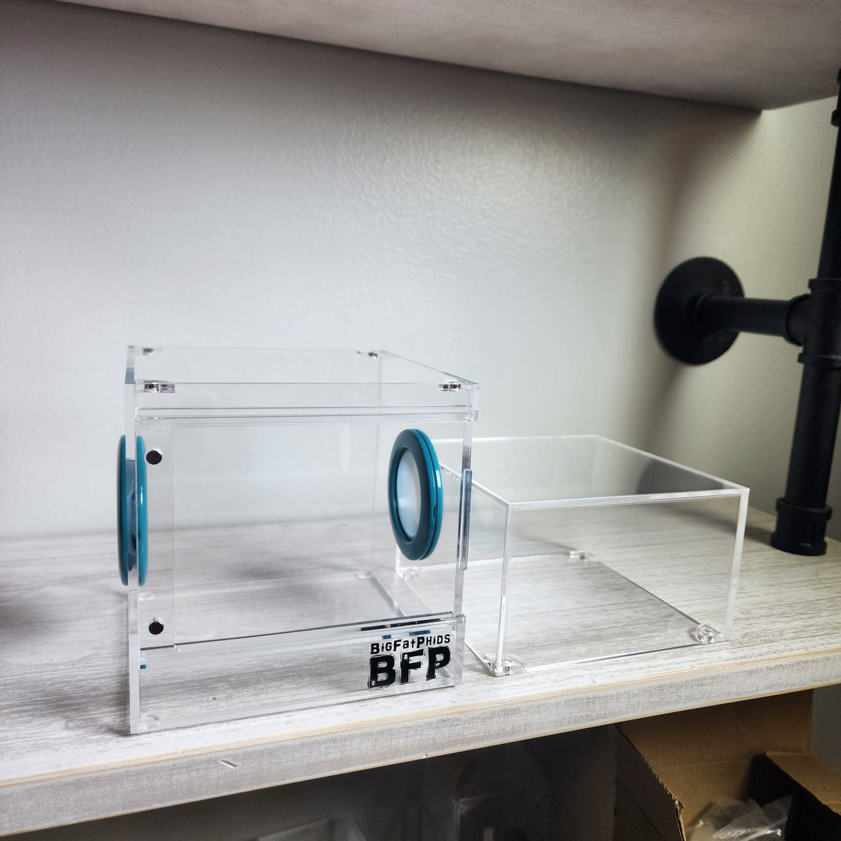 Flat-Top Magnetic 5x5x8 Jumping Spider Enclosure