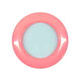 BFP Stinger Stackable Jumping Spider Sling Nursery(holds fruit flies.