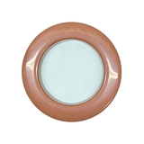 BFP Stinger Stackable Jumping Spider Sling Nursery(holds fruit flies.