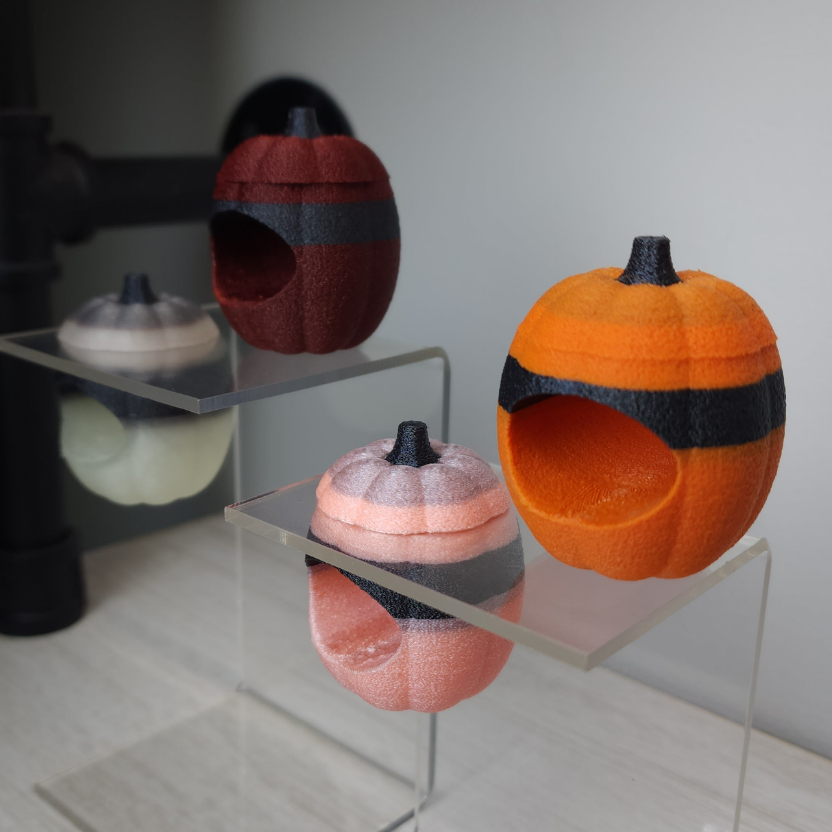 Screaming Pumpkin nesting hides for Jumping Spiders