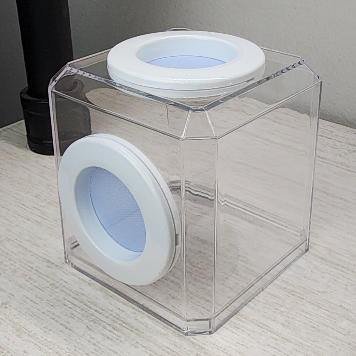 Mini Den Dual Vent 3x3x3 Jumping Spider Enclosure (holds fruit flies)