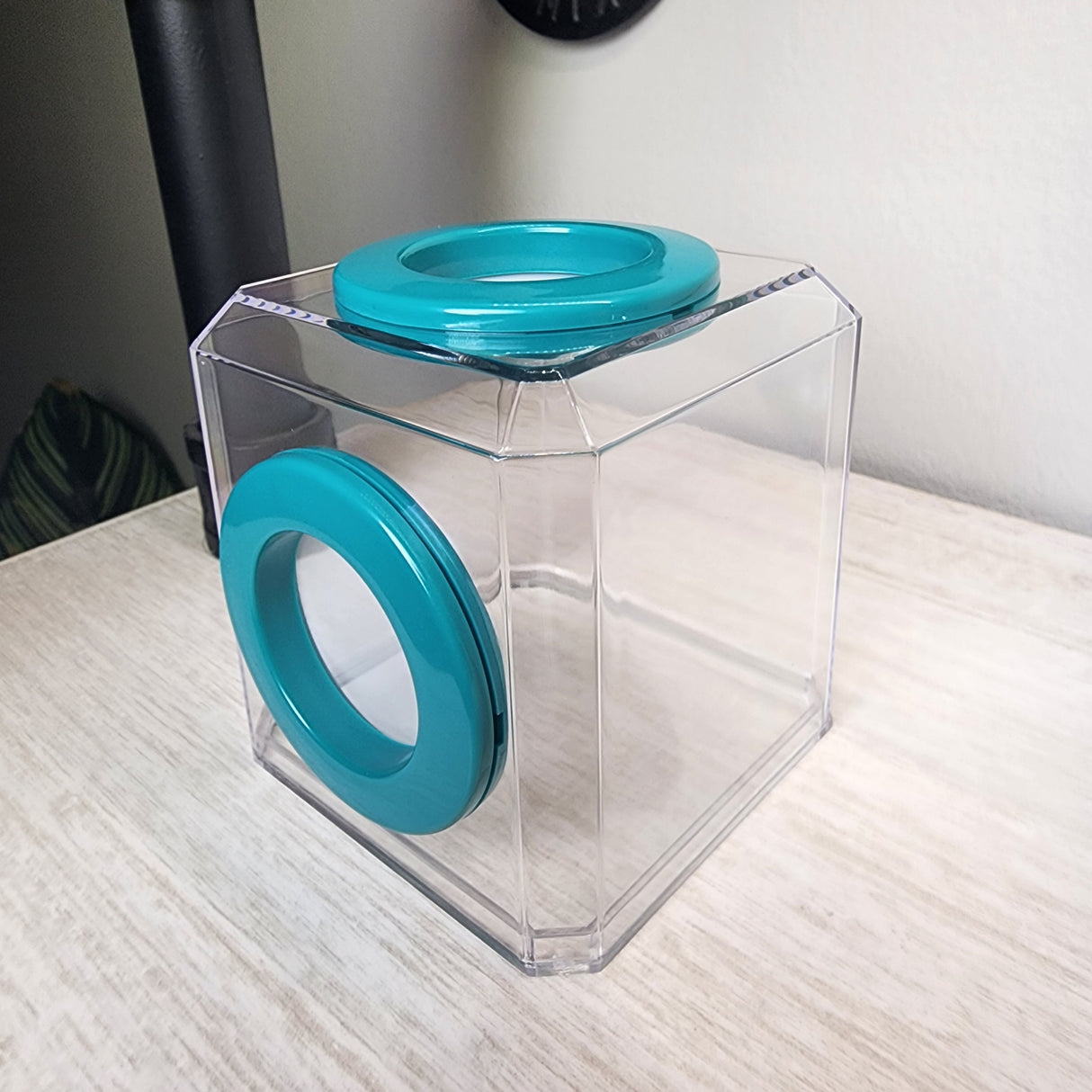 Mini Den Dual Vent 3x3x3 Jumping Spider Enclosure (holds fruit flies)