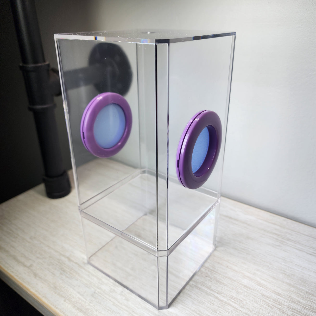 B-STOCK Flat-Top Dual Vent Spider Condo Jumping Spider Enclosure (holds fruit flies)