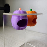 Baby Pumpkin Nesting Hides for Jumping Spiders