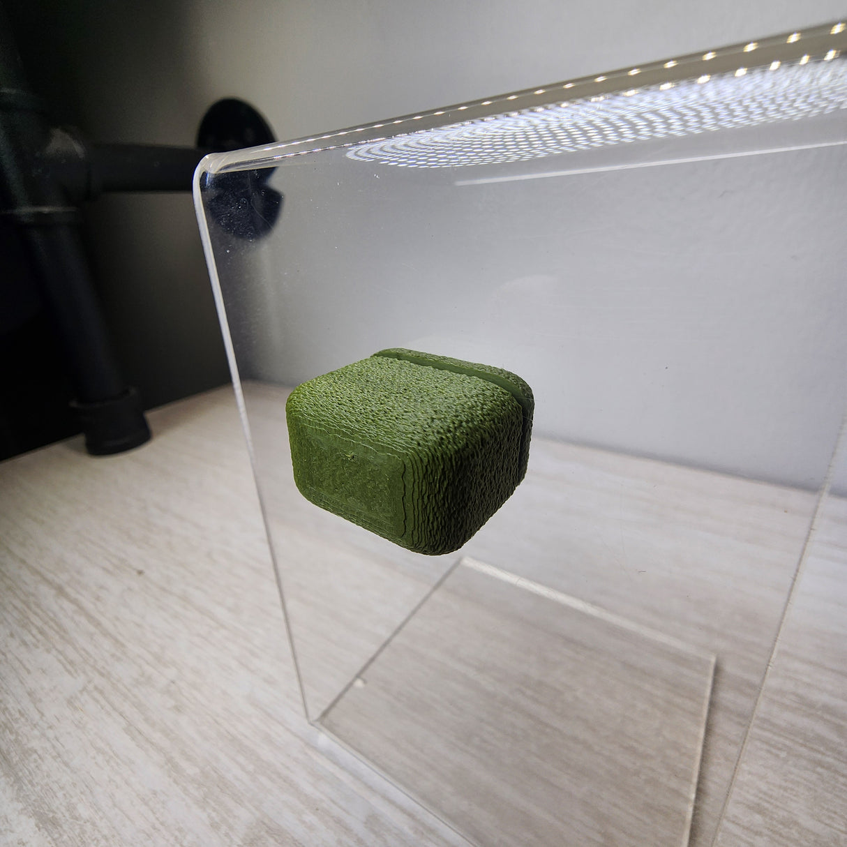 Fuzzy Block for Jumping Spiders