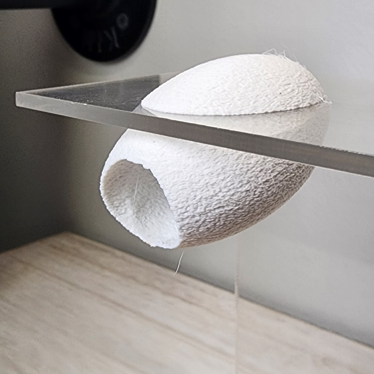 Fuzzy Cacoon Jumping Spider HIdes in 2 sizes and several colors.