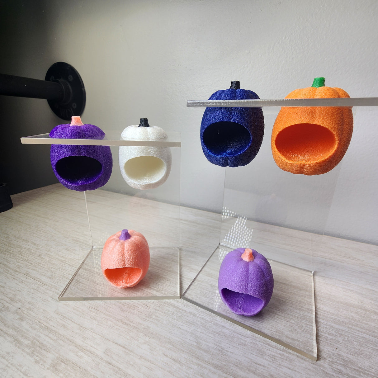 Baby Pumpkin Nesting Hides for Jumping Spiders