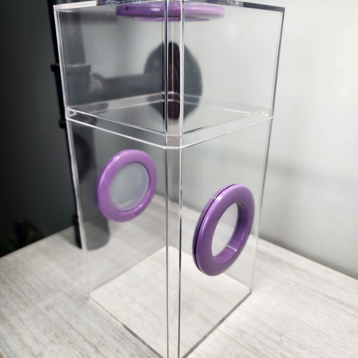 B-STOCK Classic Tri-Vent Spider Condo Jumping Spider Enclosure (holds fruit flies)