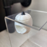 Baby Pumpkin Nesting Hides for Jumping Spiders