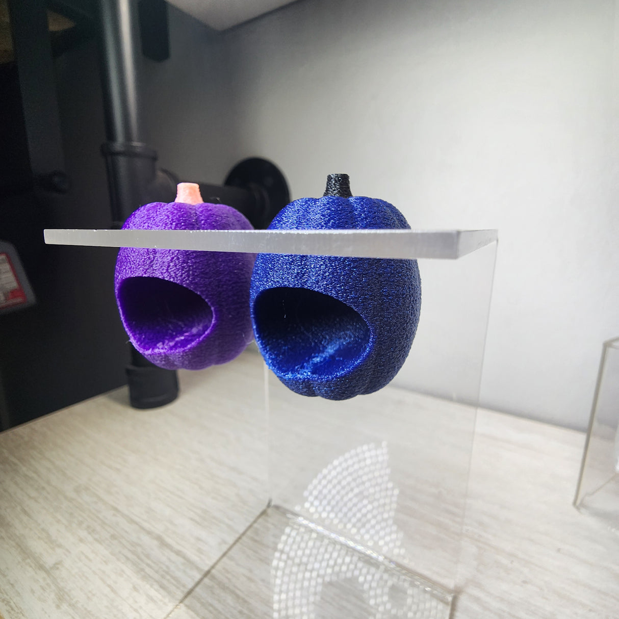 Baby Pumpkin Nesting Hides for Jumping Spiders