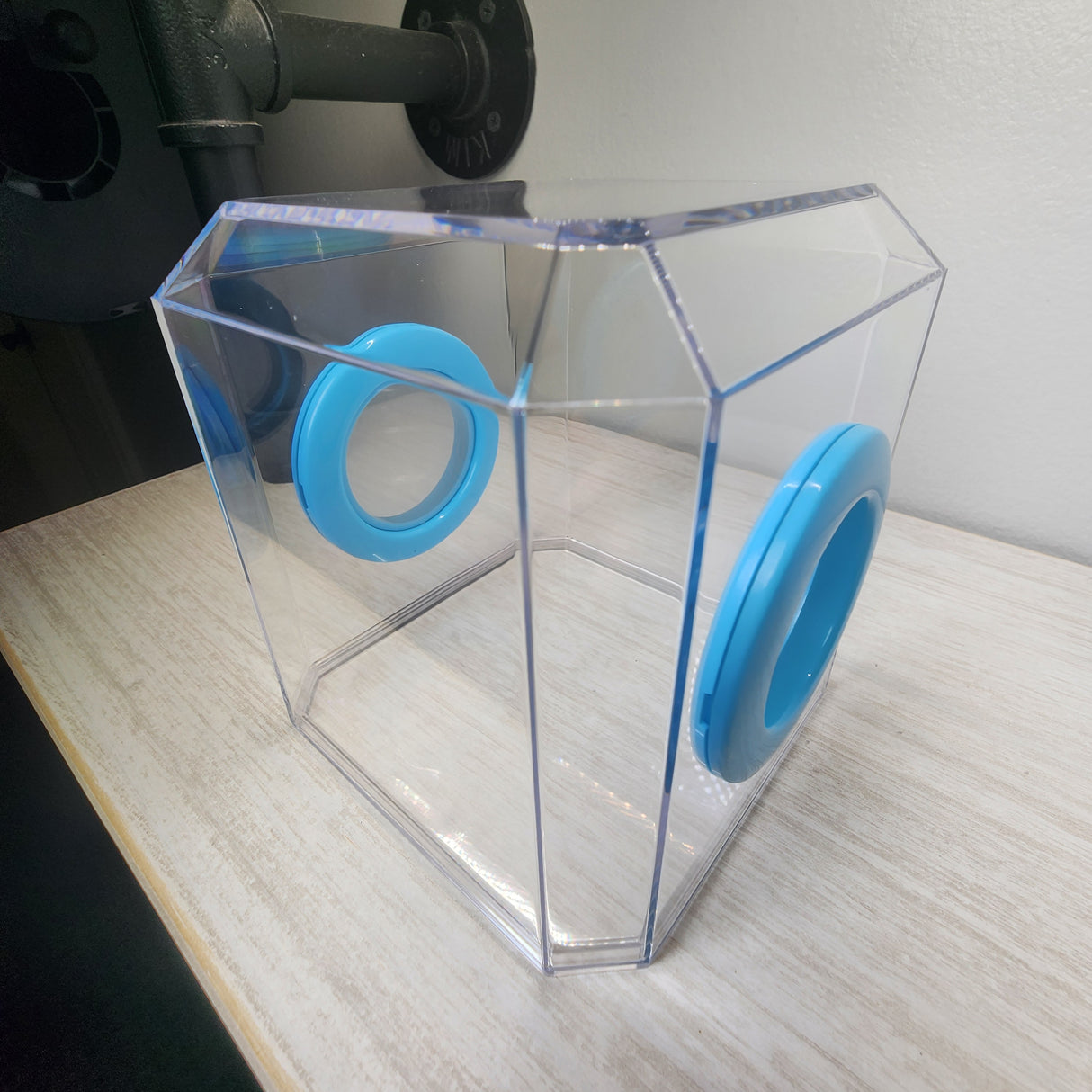 Den Flat Top 4x4x4 Jumping Spider Enclosure (holds fruit flies)