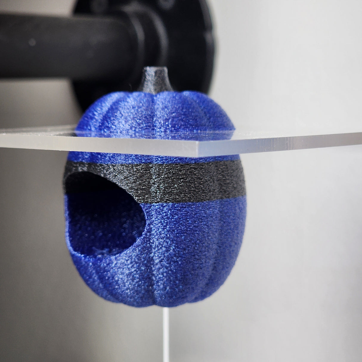 Screaming Pumpkin nesting hides for Jumping Spiders