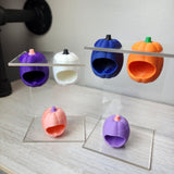 Baby Pumpkin Nesting Hides for Jumping Spiders