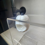 Baby Pumpkin Nesting Hides for Jumping Spiders