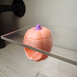 Baby Pumpkin Nesting Hides for Jumping Spiders