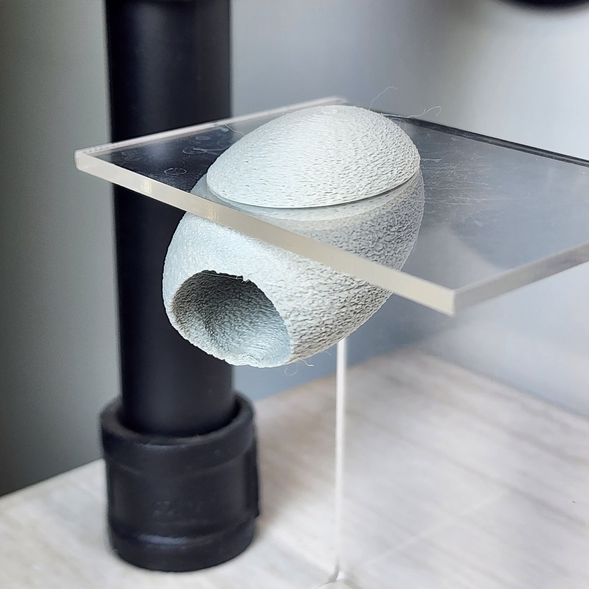 Fuzzy Cacoon Jumping Spider HIdes in 2 sizes and several colors.