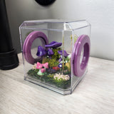 Mini Den Flat Top 3x3x3 Jumping Spider Enclosure (holds fruit flies)