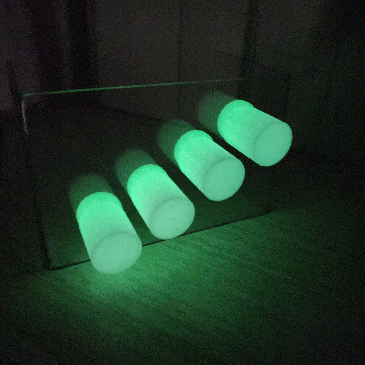 Magnetic Spoody Perch for Jumping Spiders 1 and 4 CT