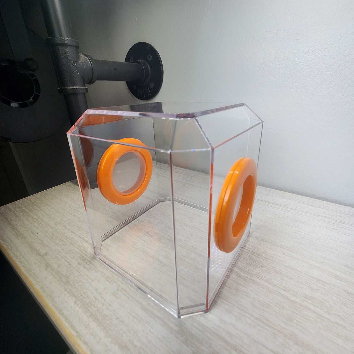 Den Flat Top 4x4x4 Jumping Spider Enclosure (holds fruit flies)