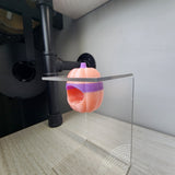 Screaming Pumpkin nesting hides for Jumping Spiders