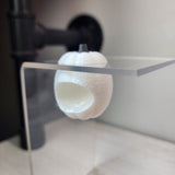 Baby Pumpkin Nesting Hides for Jumping Spiders