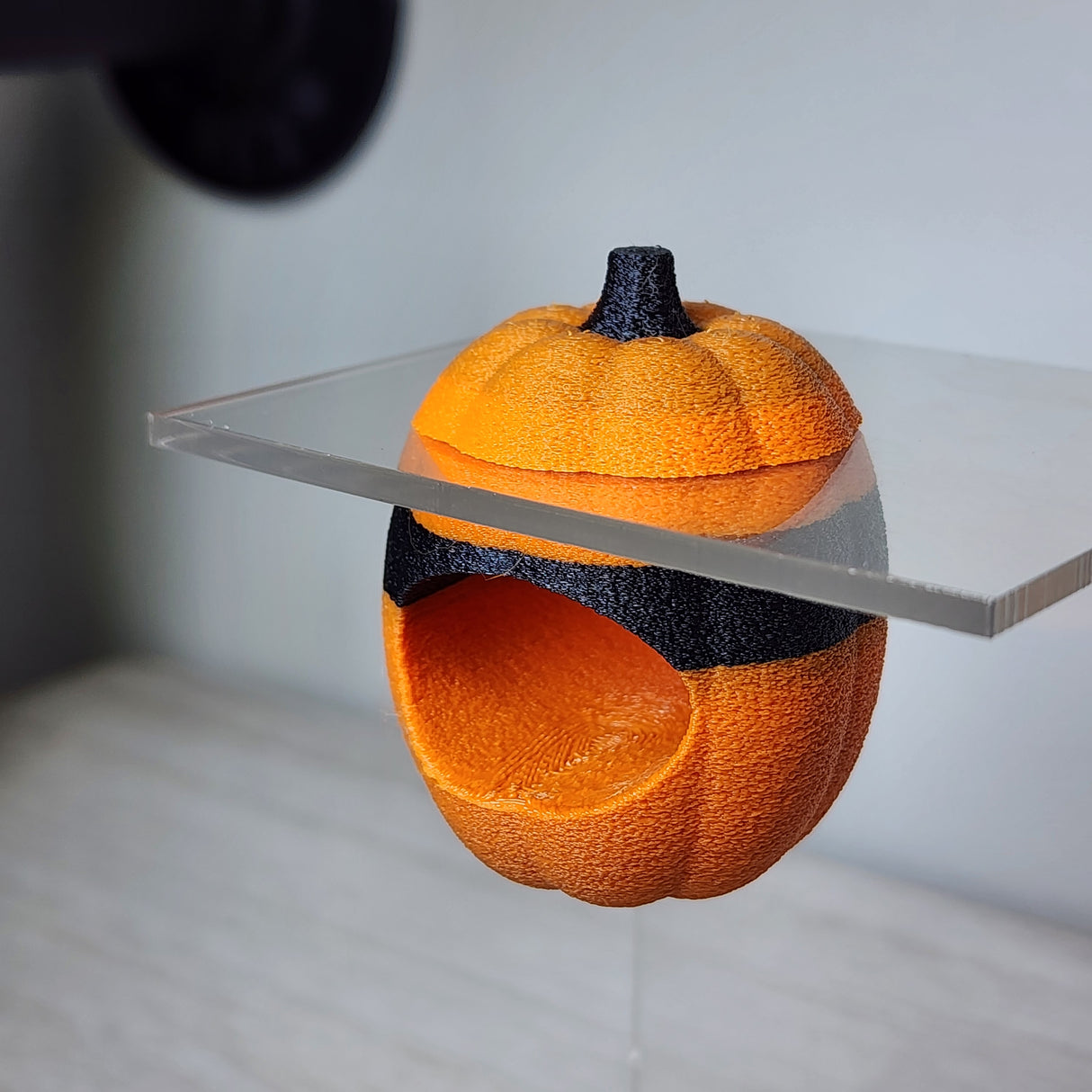 Screaming Pumpkin nesting hides for Jumping Spiders