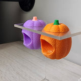 Baby Pumpkin Nesting Hides for Jumping Spiders