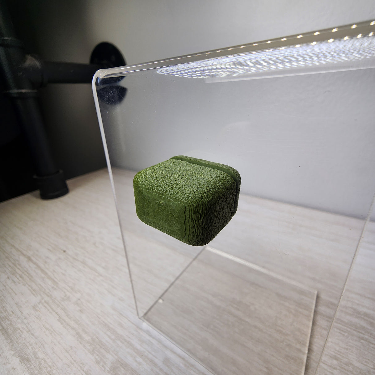 Fuzzy Block for Jumping Spiders