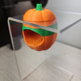 Screaming Pumpkin nesting hides for Jumping Spiders