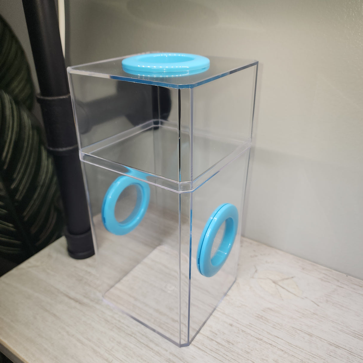 B-STOCK Classic Tri-Vent Spider Condo Jumping Spider Enclosure (holds fruit flies)