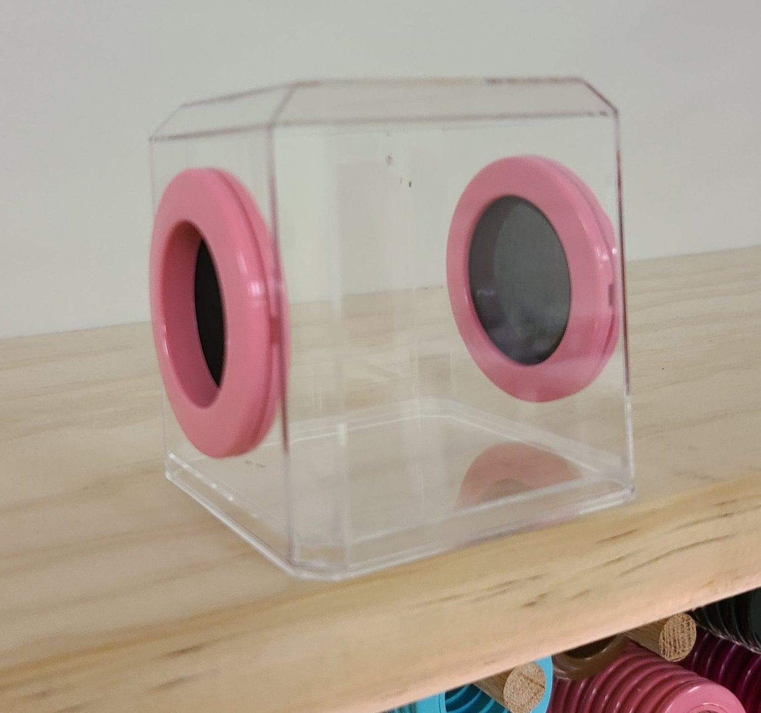 Mini Den Flat Top 3x3x3 Jumping Spider Enclosure (holds fruit flies)