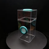 Jumping Spider Enclosure